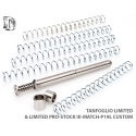 MUELLE DPM SYSTEM TANFOGLIO P19L CUSTOM LIMITED PRO STOCK III
