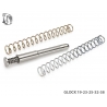 MUELLE DPM SYSTEM GLOCK 19 - 23 - 32 - 38 - Gen3